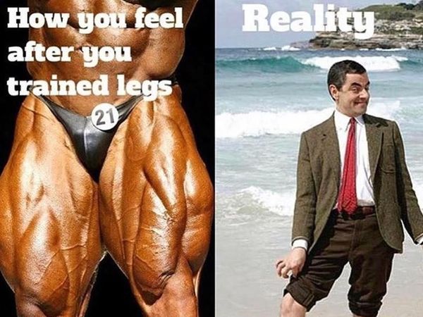 Kumpulan Meme Kocak, Buktikan Leg Day Tak Semudah yang Dibayangkan