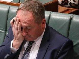 Wakil PM Australia Akui Selingkuh dan Minta Maaf