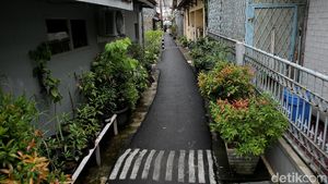 Melihat Gang Sempit yang Jadi Lokasi Pelecehan di Jatinegara