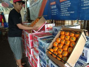 Jeruk Mandarin Paling Dicari Jelang Imlek, Kini Menghilang