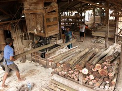 Ada Perang Dagang, RI Bisa Ambil Celah Ekspor Kayu ke AS