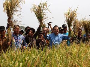 Kecurigaan Rizal Ramli Soal Impor Beras