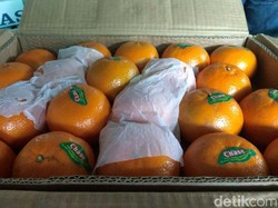 Jeruk Mandarin Menghilang Jelang Imlek, Omzet Pedagang Turun 50%