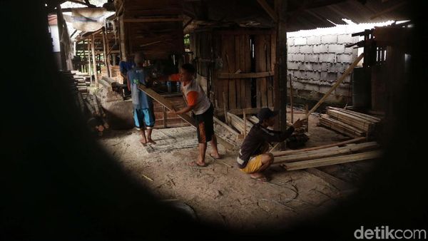 Punya Sofa dan Pallet, Dari Sini Loh Sumber Kayunya