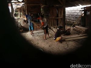 Punya Sofa dan Pallet, Dari Sini Loh Sumber Kayunya