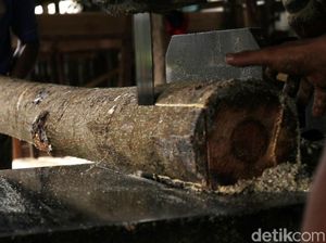 Bisnis Kayu Bernilai Hingga Ratusan Juta, Bagaimana Jualannya? Bisnis Kayu Bernilai Hingga Ratusan Juta, Bagaimana Jualannya?