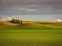 Biosfer: Pengertian, Komponen, dan Contohnya