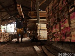 Aneka Bisnis Kayu yang Bikin Tajir Melintir