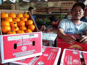 Langka Jelang Imlek, Jeruk Ini Bisa Jadi Pengganti Jeruk Mandarin