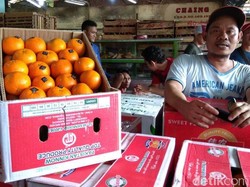 Langka Jelang Imlek, Jeruk Ini Bisa Jadi Pengganti Jeruk Mandarin