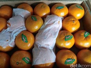 Jelang Imlek Jeruk Mandarin Menghilang, Kok Bisa Sih?