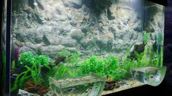 Foto: Akuarium Ajaib di Seaworld