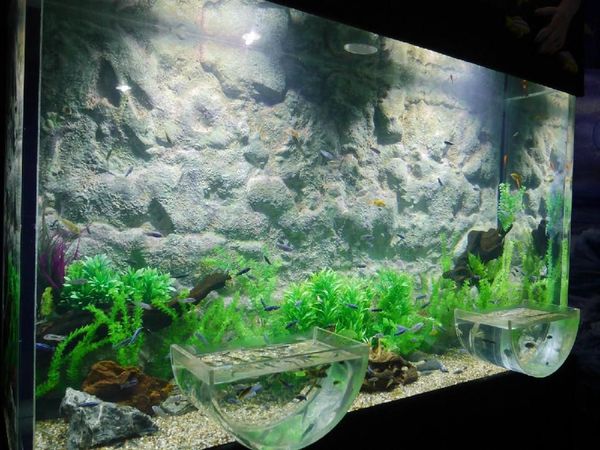 Foto: Akuarium Ajaib di Seaworld