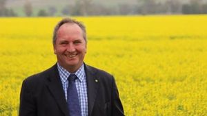 Tampang Barnaby Joyce, Wakil PM Australia yang Akui Selingkuh