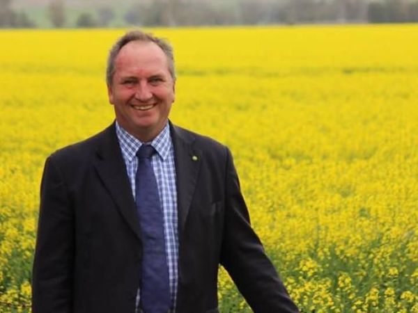 Tampang Barnaby Joyce, Wakil PM Australia yang Akui Selingkuh