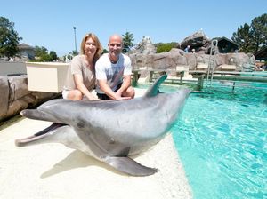 SeaWorld San Diego Dibuka, Tapi Roller Coaster Akan Tetap Ditutup