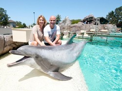 SeaWorld San Diego Dibuka, Tapi Roller Coaster Akan Tetap Ditutup