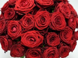 Ini Buket Bunga Paling Mahal untuk Hari Valentine, Harganya Rp 94 Juta