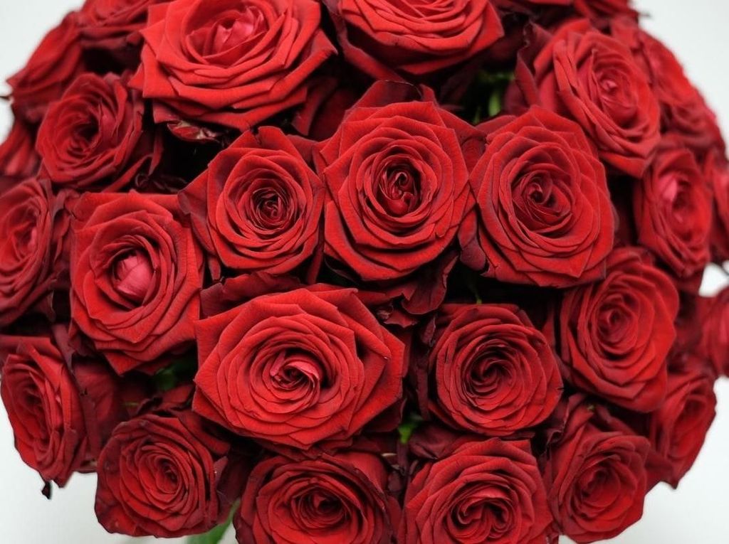 Ini Buket Bunga Paling Mahal untuk Hari Valentine, Harganya Rp 94 Juta Ini Buket Bunga Paling Mahal untuk Hari Valentine, Harganya Rp 94 Juta