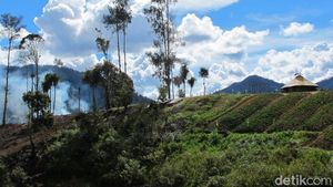 Potret Desa Indah Bebas Corona di Intan Jaya Papua