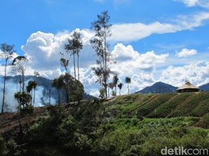 Potret Desa Indah Bebas Corona di Intan Jaya Papua