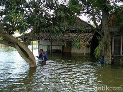 Sudah 3 Bulan 1.471 Rumah Warga di Demak Ini Tergenang Banjir