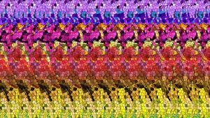 Uji Ketajaman Mata Lewat Stereogram, Bisa Temukan Misterinya?