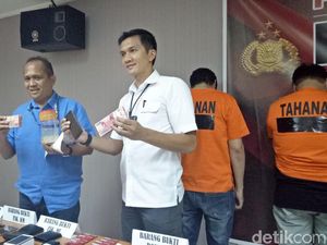 Kelabui Petugas, Penyelundup Campurkan Benih Lobster dengan Selada Kelabui Petugas, Penyelundup Campurkan Benih Lobster dengan Selada