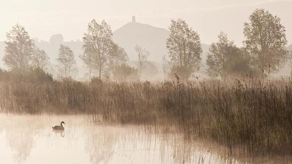 Kerennya Karya Jawara Kontes Foto Kebun