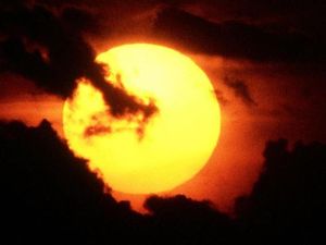 Ini Biang Kerok Sepertiga Kematian di Bumi Terkait Suhu Panas