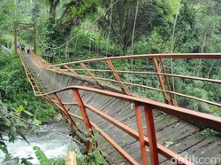 Tertimpa Pohon, Jembatan di Batang Ini Miring dan Nyaris Roboh