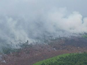 BMKG Prediksi Kebakaran Hutan Tahun Ini Rendah