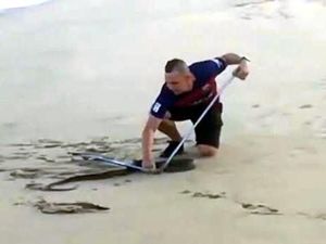 Ular Paling Berbisa Sedunia Hampir Celakai Turis di Afsel