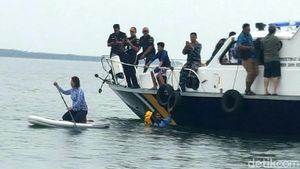 Menteri Susi Renang dan Naik Paddle Board Pantau Hiu di Probolinggo