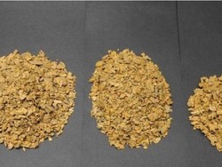 Curi Emas 4 Kg dari Tambang Untuk Biayai Liburan Istri