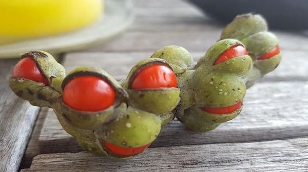 Ketika Netizen Punya Jawaban untuk Semua Pertanyaan