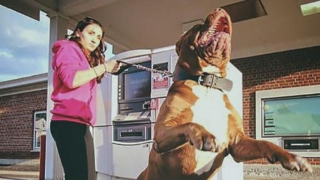 Ngambil Uang di ATM Takut Dibegal? Cegah Pakai Cara Ini Ngambil Uang di ATM Takut Dibegal? Cegah Pakai Cara Ini