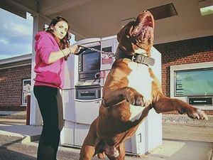 Ngambil Uang di ATM Takut Dibegal? Cegah Pakai Cara Ini