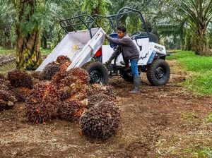 Sawit RI Dicekal AS hingga Eropa, Ketua DPR Minta Kemendag Lawan Sawit RI Dicekal AS hingga Eropa, Ketua DPR Minta Kemendag Lawan
