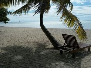 Pantai Cantik dan Anak Penyu Lucu di Sangalaki