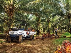 Mobil Ndeso Diminati Konsumen dari Malaysia dan Afrika