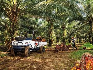 Mobil Ndeso Diminati Konsumen dari Malaysia dan Afrika Mobil Ndeso Diminati Konsumen dari Malaysia dan Afrika