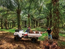 Diproduksi 4 Bulan, Mobil Ndeso Ini Sudah Dipesan 200 Unit