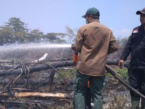 Masuki Kemarau, Waspada Kebakaran Hutan dan Lahan