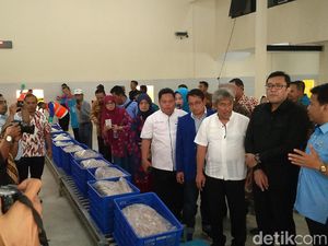KKP Soroti Kerusakan Ekosistem Laut Pantura