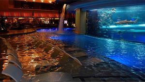 Foto: Berenang dan Bermain Perosotan Bersama Hiu