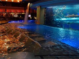 Foto: Berenang dan Bermain Perosotan Bersama Hiu