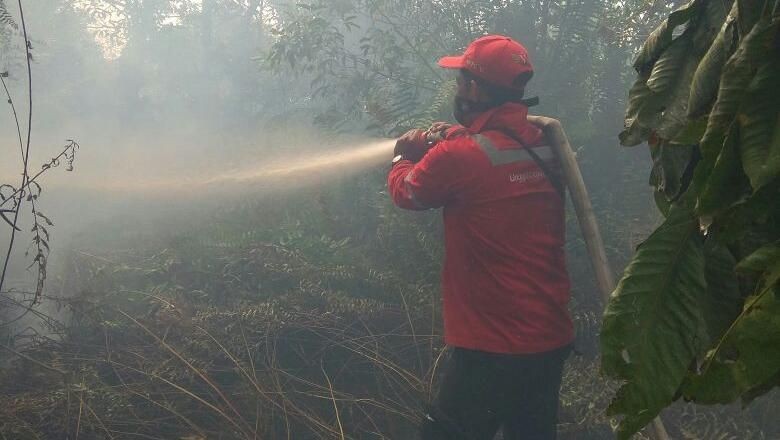 Tumbuhkan Kesadaran Bahaya Kebakaran Lahan Sejak Dini