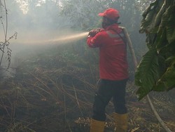 Tumbuhkan Kesadaran Bahaya Kebakaran Lahan Sejak Dini