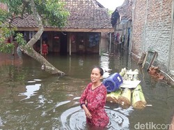 3 Bulan Terendam Banjir, Warga di Demak Kekurangan Stok Makanan